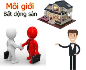 học môi giới