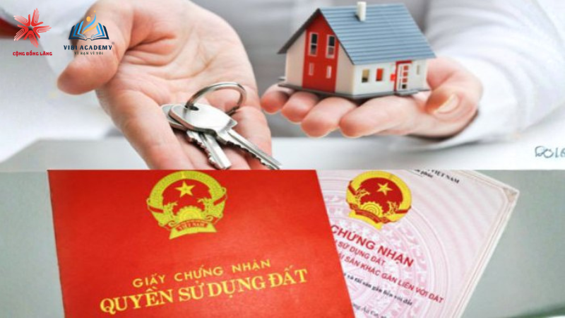 Kiến thức pháp lý bất động sản thực chiến khóa học VIBI EDU