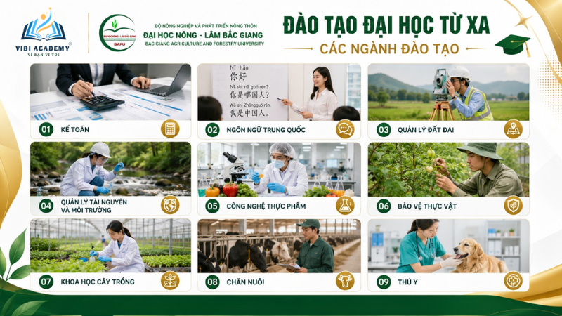 Các ngành đào tạo hệ đại học từ xa năm 2026 tại VIBI EDU